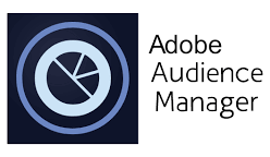 Adobe audience